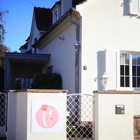 Villa Camelias, Appartements De Charme 미터위어 외부 사진